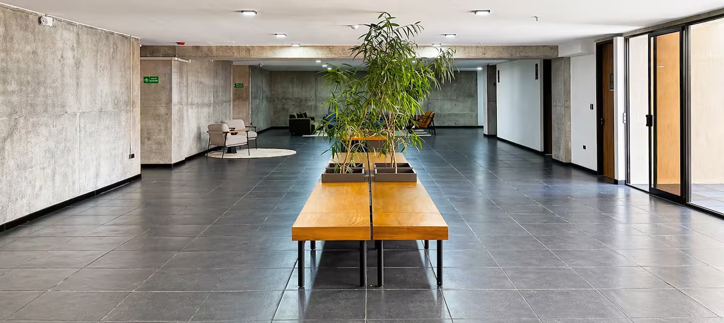 Common hallways with concrete walls, wooden benches, and indoor plants at Art Haus Tower
